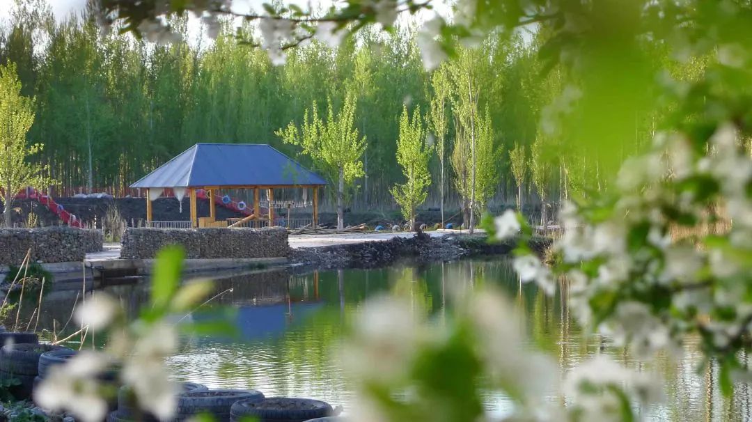 新疆那拉泉木屋房车营地，住木屋体验游仙境！