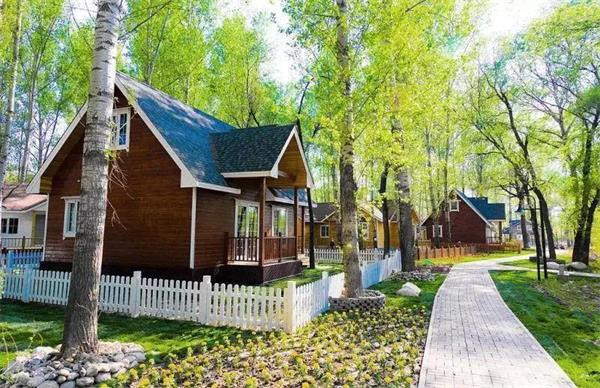 新疆梦幻那拉泉木屋房车营地 体验现实中的梦境！